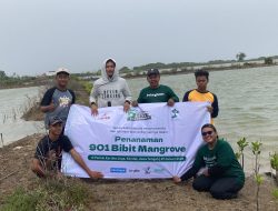 5TRIVE FOR IMPACT: Perayaan Ulang Tahun Ke-5 Cause ID dengan Menanam 901 Mangrove di Kendal