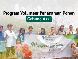 Gabung Aksi: Program Volunteer Penanaman Pohon Bersama LindungiHutan, Jaga Alam Kita Bersama