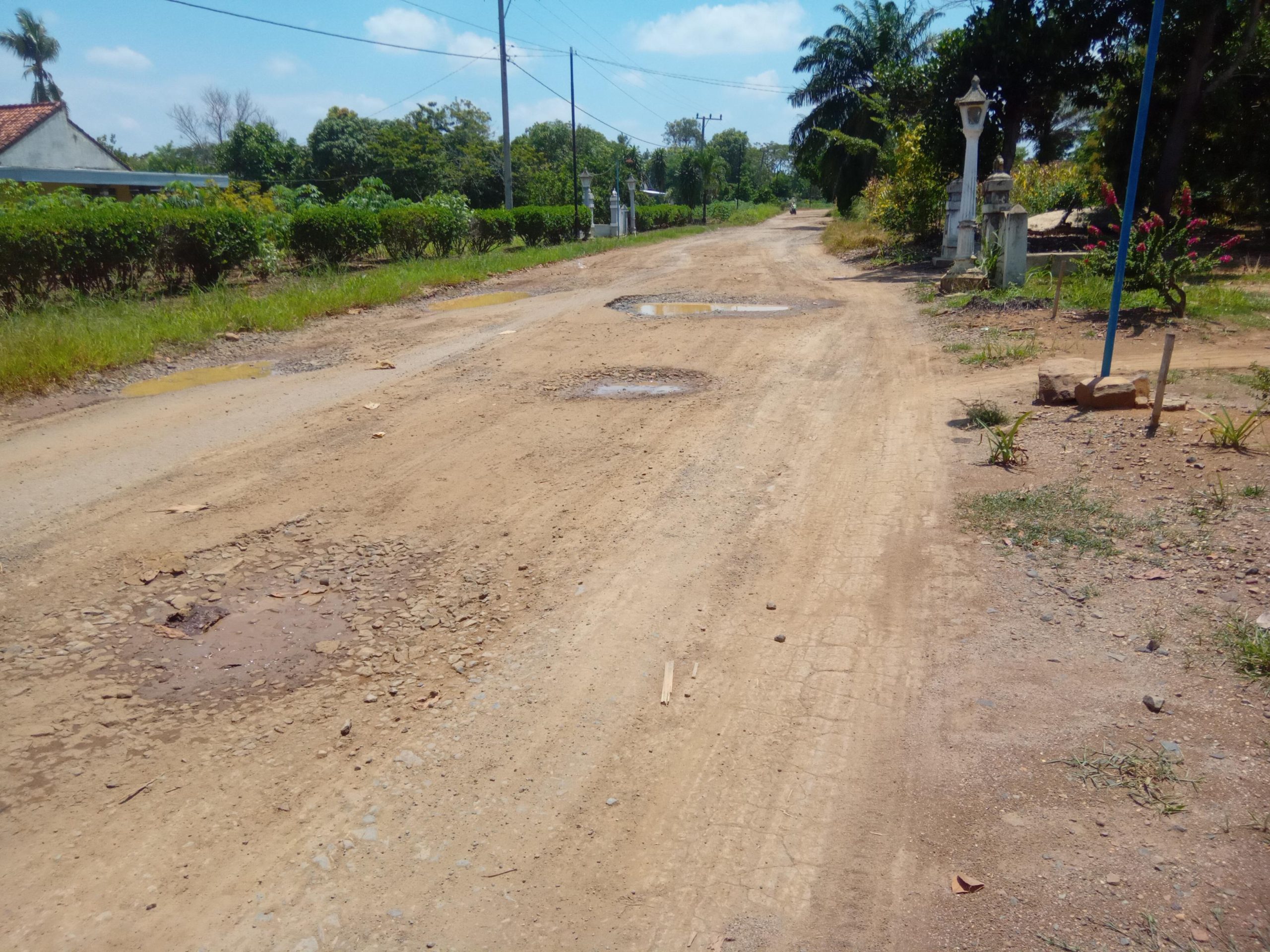 Resah Warga Wonomarto Kotabumi Utara Hadapi Jalan Rusak Setiap Hari Tak Kunjung di Perbaiki