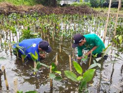 Mengapa Menanam Pohon itu Penting? Ini Alasannya