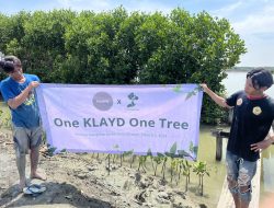 KLAYD Tanam 815 Mangrove Dukung Pelestarian Lingkungan di Kawasan Hutan Mangrove Ambulu Kabupaten Cirebon