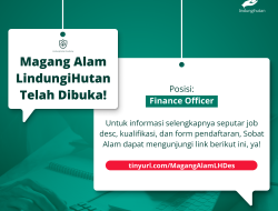 Lowongan Magang di LindungiHutan Bidang Finance, Ini Syarat dan Ketentuannya