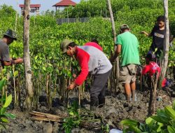 LindungiHutan Ajak Masyarakat Berperan Aktif Melestarikan Hutan dalam Program Sedekah Pohon