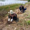 LindungiHutan Tanam 122 Ketapang Kencana dalam Program Gabung Aksi di Tangerang