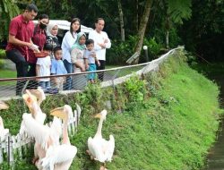 Akhir Pekan Bersama Keluarga, Presiden Jokowi Ajak Cucu Wisata Pengenalan Satwa