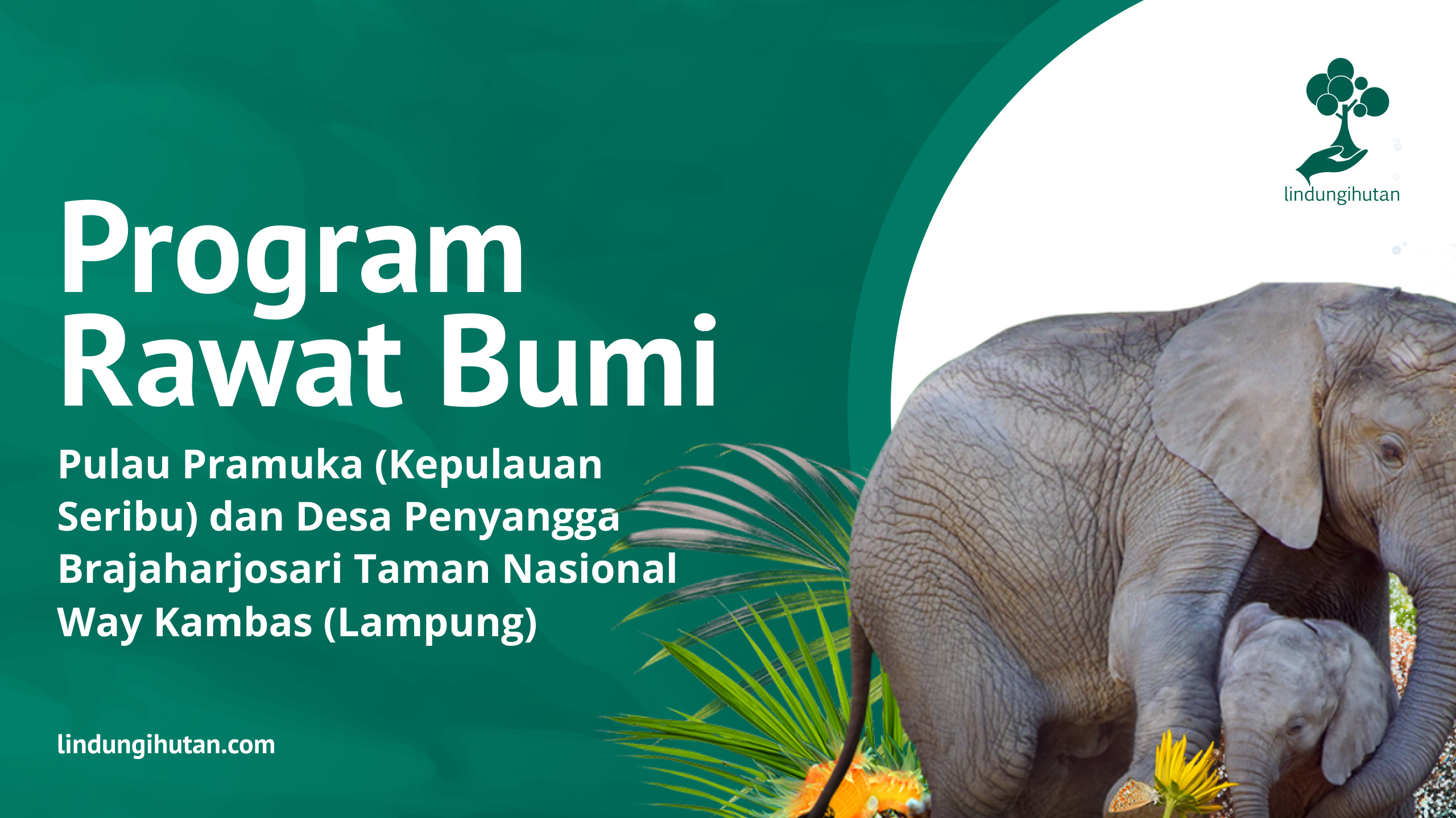 LindungiHutan Kembali Mengajak Brand dan Perusahaan Terlibat Program Rawat Bumi untuk Keberlanjutan Lingkungan