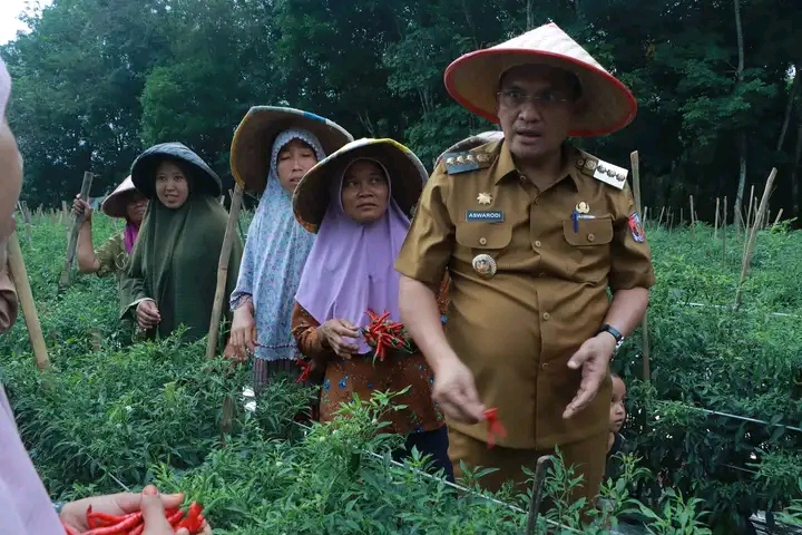 Penjàbat (PJ.) Bupati L.U  Drs. Aswarodi,MSi Menghadiri Dalam Rangkaian Kegiatan Sektor Pertanian  Panen Padi/Jagung dan Cabai di Kecamatan Abung Selatan