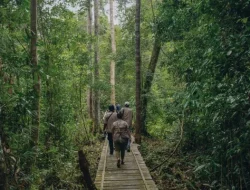 Pengadilan Tata Usaha Negara (PTUN) Jakarta Kabulkan Permohonan Penundaan Keputusan Pencabutan Izin PBPH PT. Rimba Raya Conservation Di Kabupaten Seruyan