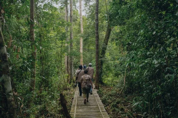 Pengadilan Tata Usaha Negara (PTUN) Jakarta Kabulkan Permohonan Penundaan Keputusan Pencabutan Izin PBPH PT. Rimba Raya Conservation Di Kabupaten Seruyan