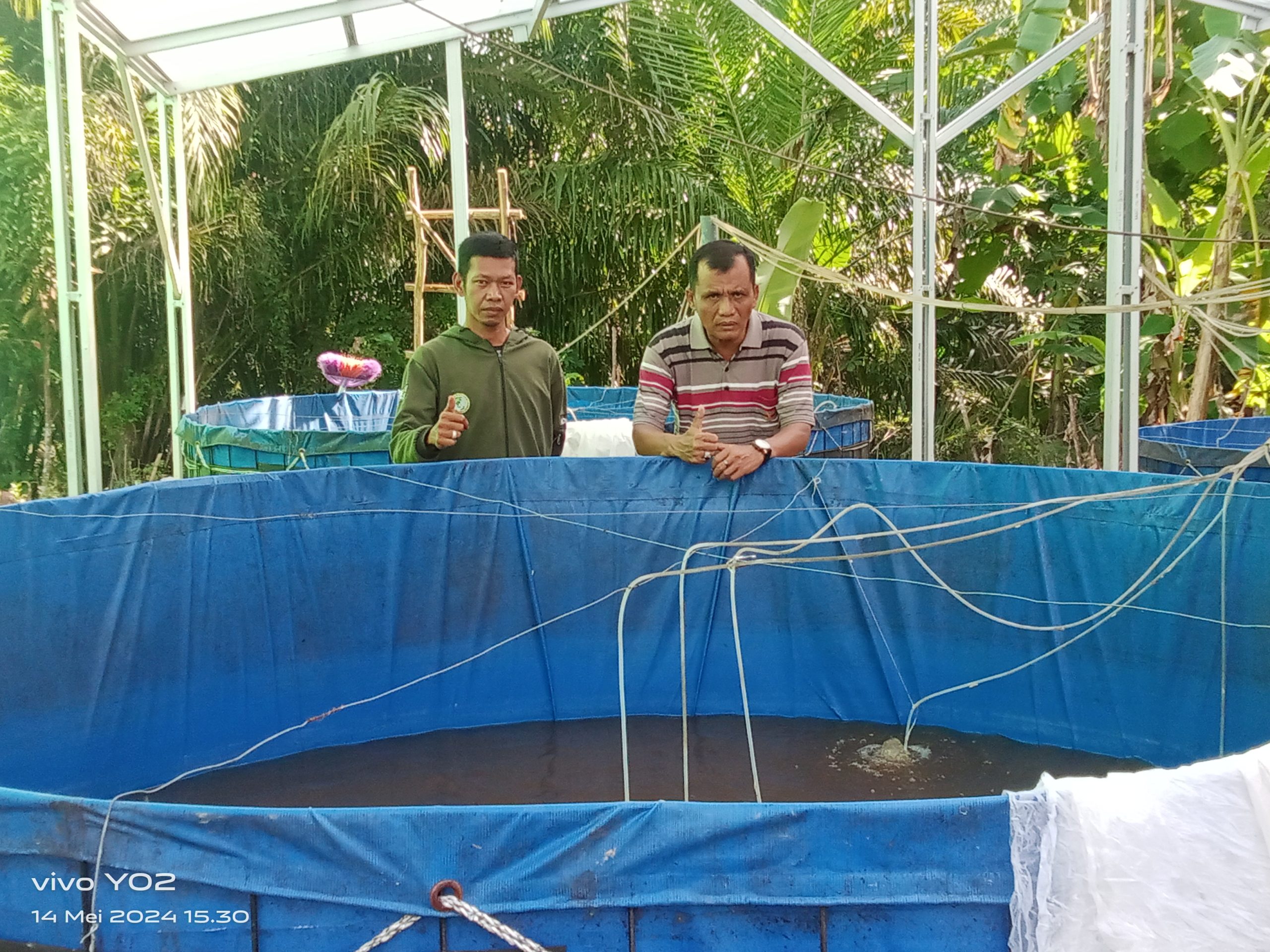 Program Ketahanan Pangan Pemdes Talang Akar Salurkan Pembelian Bibit Ikan Lele Sangkuriang