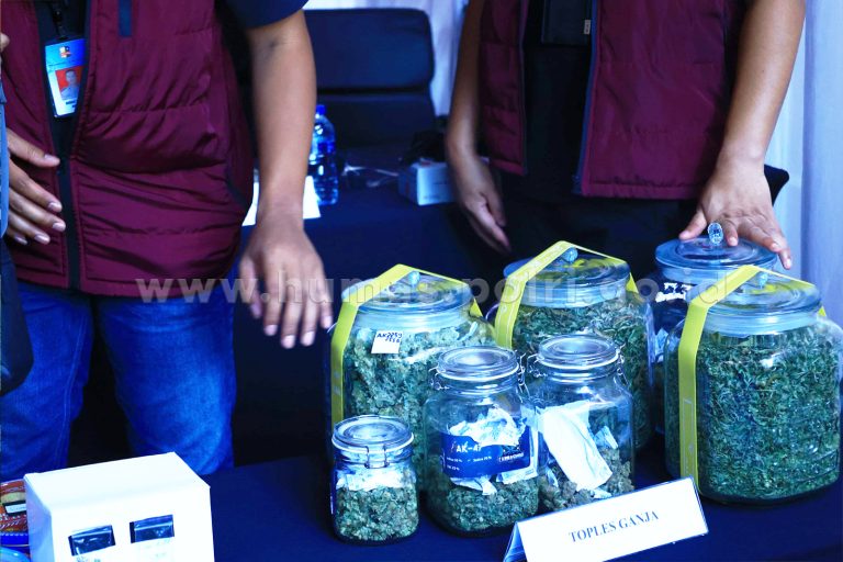 Lab Narkoba Terbongkar di Bali : 3 WNA Ditangkap, Ganja Hidroponik dan Mephedrone Disita