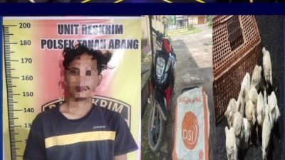 Diduga Mencuri Ayam 14 Ekor RL (22), Tahun Warga Desa Tanah Abang Jaya Diringkus Tim Naga Hitam Unit Reskrim Polsek Tanah Abang