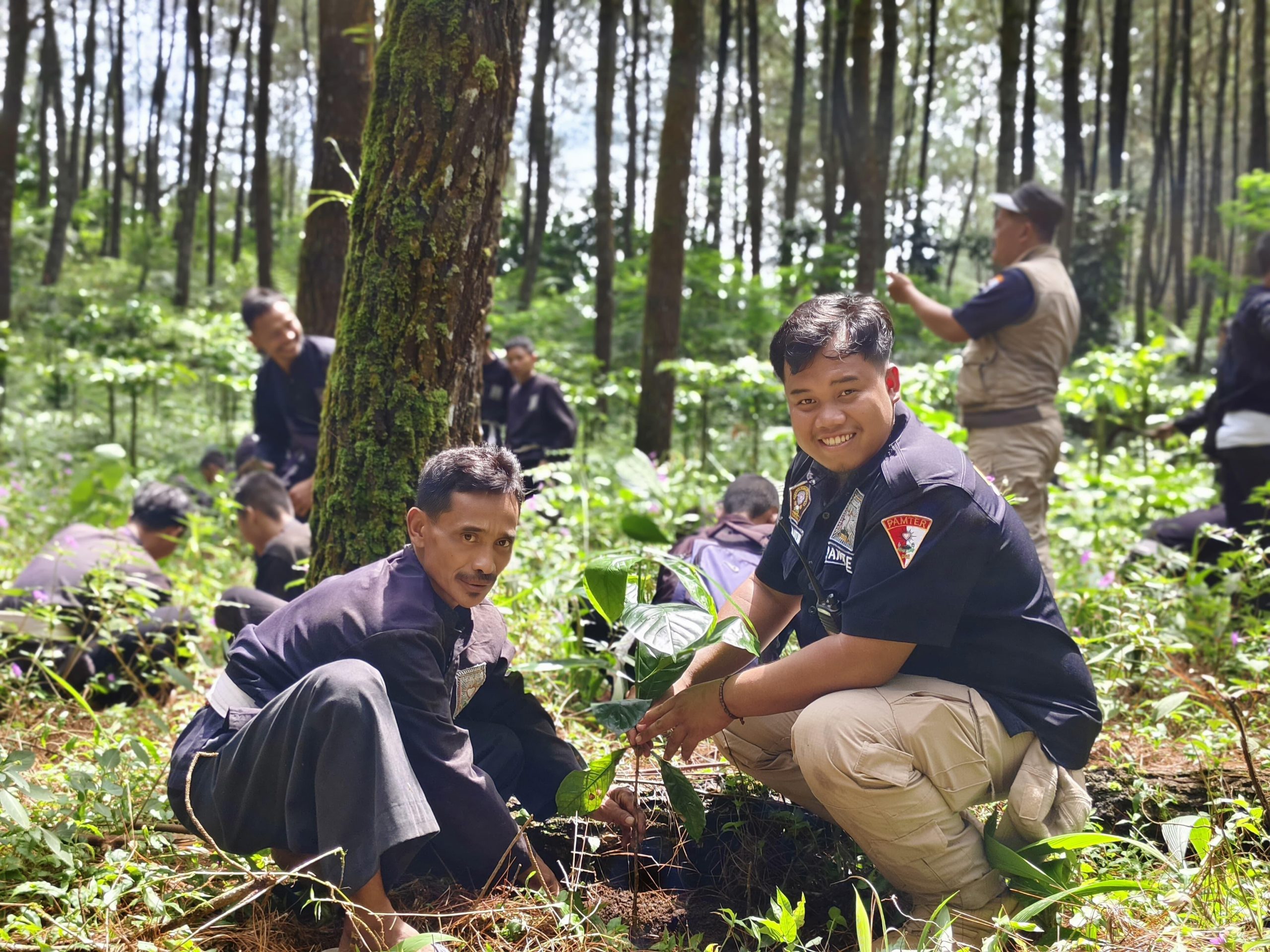 Jaga Keseimbangan Alam, PSHT Batang Tanam Seribu Bibit Pohon