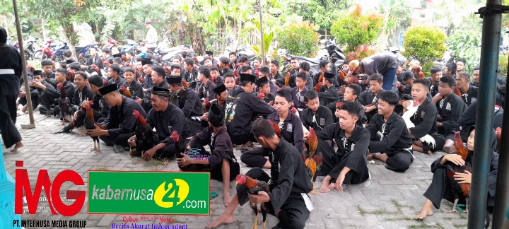 Pengecekan Ayam Jago PSHT Ranting Mejayan DKP Madiun Berjalan Tertib Dan Khidmat
