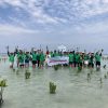 Perusahaan Teknologi Hikvision Rayakan Hari Lingkungan Hidup dengan Tanam Mangrove di Pulau Pari