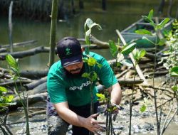 Pesan Penting Dari CEO LindungiHutan Memperingati Hari Lingkungan Hidup Sedunia