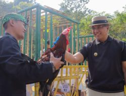 Pj. Wali Kota Cimahi Dicky Saromi, membuka Kontes ayam Pelung Gema Lokananta II Tingkat Kota/Kabupaten