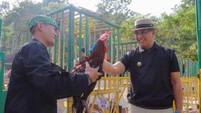 Pj. Wali Kota Cimahi Dicky Saromi, membuka Kontes ayam Pelung Gema Lokananta II Tingkat Kota/Kabupaten