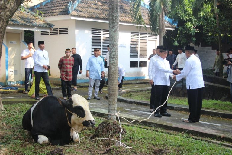 Kerahkan Personel Bhabinkamtibmas, Polda Sumsel Bagikan Daging Kurban Hingga ke Masyarakat Pelosok