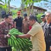 Pj Bupati Sumedang Puji Program SAMAWANA Kecamatan Cimalaka