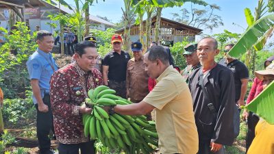 Pj Bupati Sumedang Puji Program SAMAWANA Kecamatan Cimalaka