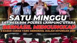 Satu Mingu , Sat Reskrim Polres Lampung Utara  Berhasil Mengungkap 2 Kasus Curas Yang Menonjol Dalam Hitungan Jam