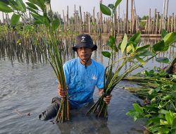 Upaya Keberlanjutan LindungiHutan di Tambakrejo, Kota Semarang