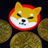 Prediksi Harga Shiba Inu: Apakah SHIB akan Mencapai Harga Tertinggi Sepanjang Masa di Tahun Ini?