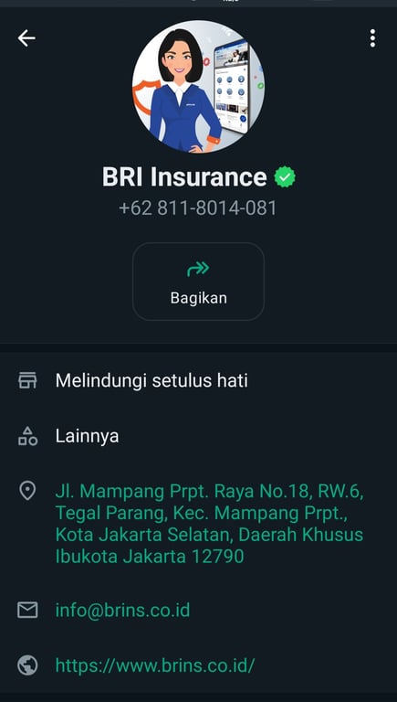 Contoh akun WhatsApp dengan centang hijau (lencana terverifikasi).