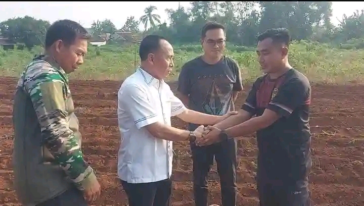 Pemkab dan. Kodim Beri Kopensasi Petani Singkong Kotabumi