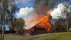 Sekolah di Pegunungan Bintang Dibakar KKB, Kaops Damai Cartenz-2024: Tindakan Brutal dan Tidak Manusiawi