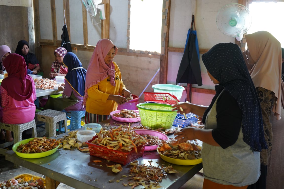 Proses pengupasan yang dilakukan oleh perempuan nelayan rajungan di Rembang, Jawa Tengah Foto: Adam Putra/CTC