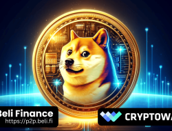 Peluncuran Eksklusif: Beli DOGE di Jaringan BSC bersama Beli Finance dan Cryptowatch