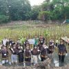 PT Pigeon Indonesia Tanam 1.000 Pohon Mangrove di Pantai Indah Kapuk Jakarta