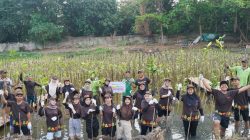 PT Pigeon Indonesia Tanam 1.000 Pohon Mangrove di Pantai Indah Kapuk Jakarta