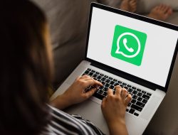 Pebisnis Wajib Tau! Ini Perbedaaan WhatsApp Business Biasa dan WhatsApp Business API