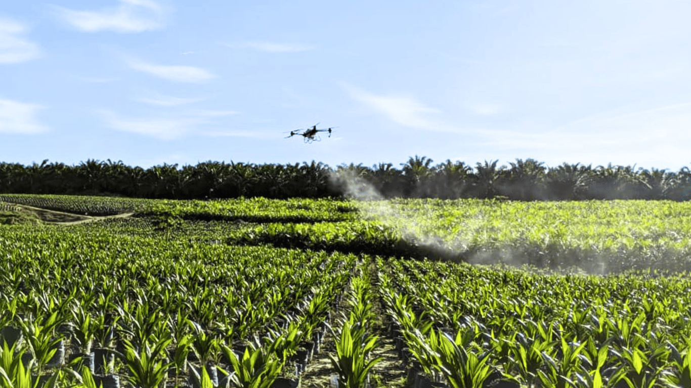 Halo Robotics Meningkatkan Efisiensi Pemupukan Kelapa Sawit dengan Drone Pertanian DJI Agras T40