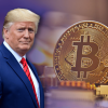 Bitcoin (BTC) Melesat Tembus $65.000 USD Didukung Elektabilitas Donald Trump