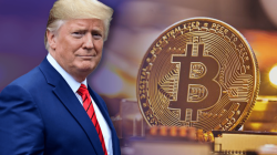 Bitcoin (BTC) Melesat Tembus $65.000 USD Didukung Elektabilitas Donald Trump
