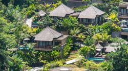Apakah 2024 adalah Waktu yang Tepat untuk Membuka Usaha di Bali?