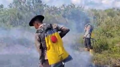 Dibantu Water Bombing, Tim Gabungan Penanggulangan Karhutla Berjibaku Padamkan Api di Indralaya Utara