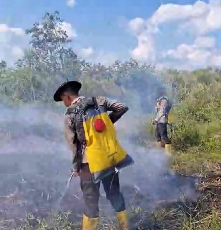 Dibantu Water Bombing, Tim Gabungan Penanggulangan Karhutla Berjibaku Padamkan Api di Indralaya Utara