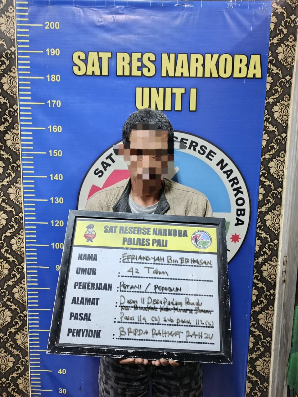 Satu Persatu Pelaku Pengedar Narkoba di PALI Berhasil di Ringkus Satreskoba Polres PALI