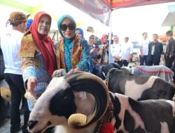 Lasato Fest 2024 Dorong Konsumsi Gizi dan Ekonomi di Garut