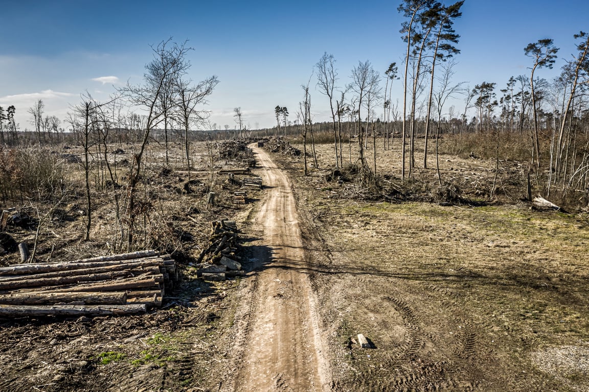 Atasi Deforestasi: Solusi Teknologi untuk Kepatuhan Perusahaan Terhadap Peraturan Bebas-Deforestasi Uni Eropa (EUDR) dari KOLTIVA