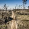 Atasi Deforestasi: Solusi Teknologi untuk Kepatuhan Perusahaan Terhadap Peraturan Bebas-Deforestasi Uni Eropa (EUDR) dari KOLTIVA