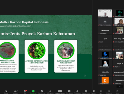 Menghadapi Krisis Emisi, Kredit Karbon untuk Bisnis Berkelanjutan