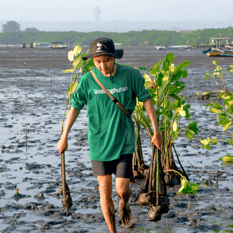 Capaian LindungiHutan dalam Melestarikan Lingkungan Sepanjang 2023