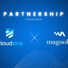 Cloudsine Bermitra dengan Magnolia DXP untuk Meningkatkan Keamanan Web