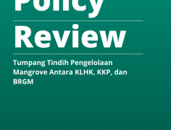 LindungiHutan Merilis Policy Review tentang Tumpang Tindih Pengelolaan Mangrove di Indonesia